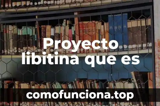 Qué es un proyecto insignia 7 Proyecto libitina que es