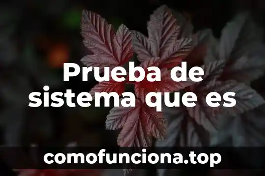 Que es un texto de contraste ejemplo 7 Prueba de sistema que es