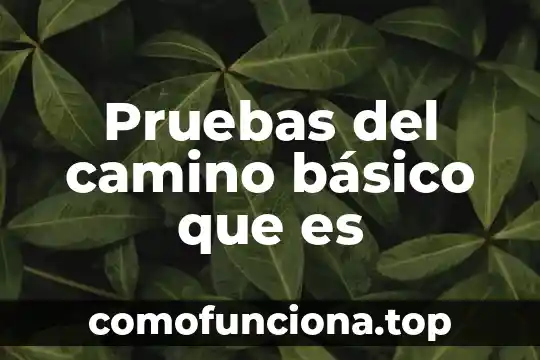 Que es la obtencion de pruebas en un juicio 3 Pruebas del camino básico que es