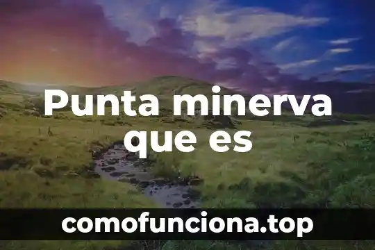 Para que es el papel punta 7 Punta minerva que es