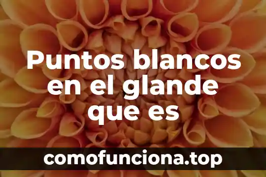 Que es un congreso deportivo y sus puntos 8 Puntos blancos en el glande que es