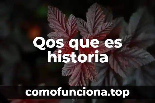 Preguntas sobre que es la historia 4 Qos que es historia