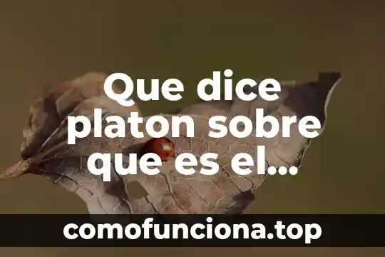 Que es el conocimiento en minería de datos 3 Que dice platon sobre que es el conocimiento