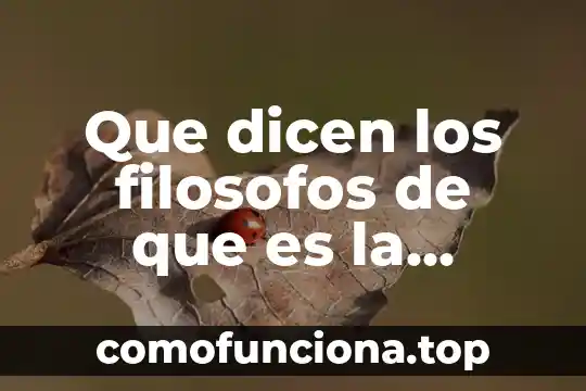 Qué es disyunción en filosofía 6 Que dicen los filosofos de que es la filosofia