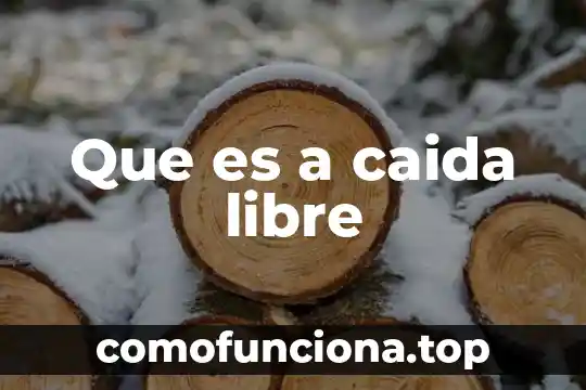Que es caida libre y sus componentes 4 Que es a caida libre