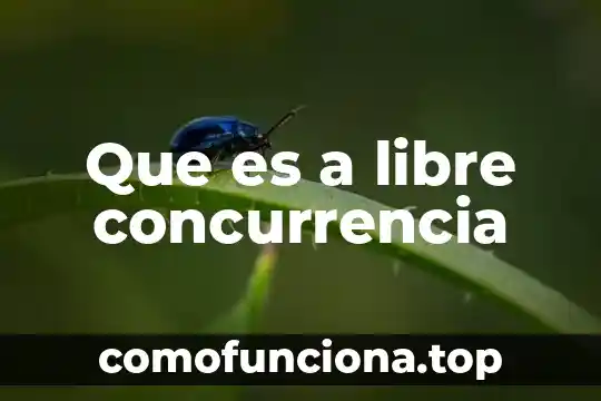 Qué es concurrencia en sistemas distribuidos 5 Que es a libre concurrencia