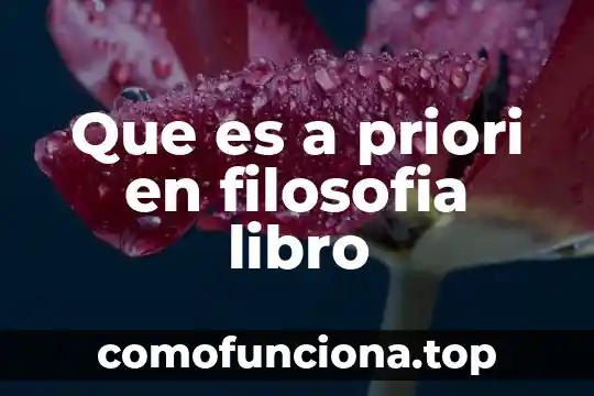 Que es el color en filosofia 6 Que es a priori en filosofia libro