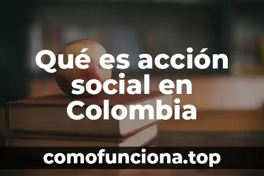Que es el significado de chihuahua 6 Qué es acción social en Colombia