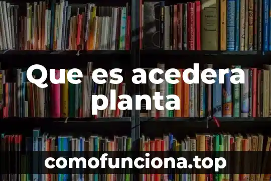 Para que es la planta pata de vaca 5 Que es acedera planta