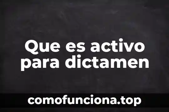 Qué es una sociedad políticamente activo 7 Que es activo para dictamen