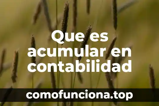 Que es lo mas dificil de contabilidad 6 Que es acumular en contabilidad