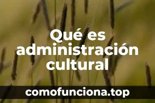 Que es el significado significante refernte y entidad cultural 8 Qu茅 es administraci贸n cultural