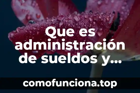 Que es un plan de sueldos y salarios 4 Que es administración de sueldos y salarios
