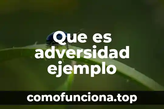 Que es un adverbo significado y ejemplo 3 Que es adversidad ejemplo