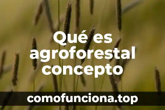 Que es ruralidad concepto 4 Qué es agroforestal concepto