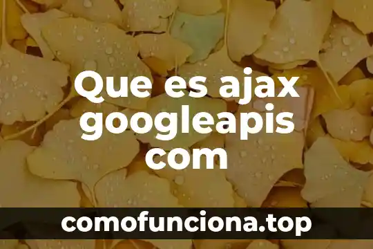 Qué es com dcom distribuidos 7 Que es ajax googleapis com