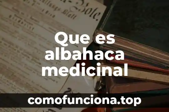 Kalanchoe planta medicinal que es 5 Que es albahaca medicinal