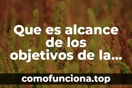 Objetivos feria introduccion para que es 5 Que es alcance de los objetivos de la organizacion