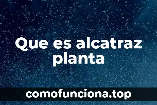 Chaparal planta que es 8 Que es alcatraz planta