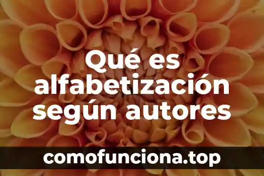 Qué es conciencia histórica según autores 4 Qué es alfabetización según autores