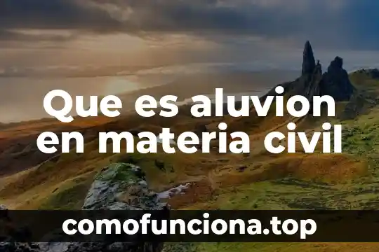 Qué es la masa hereditaria en derecho procesal civil México 3 Que es aluvion en materia civil
