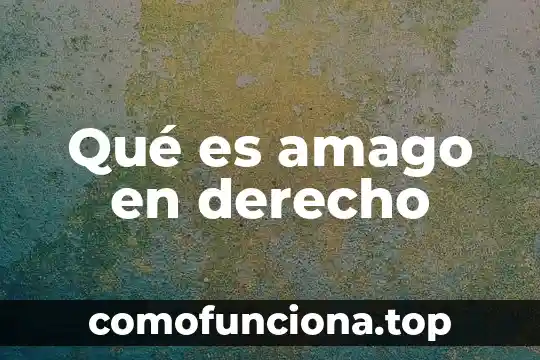 Que es el principio de legalidad en derecho 8 Qué es amago en derecho