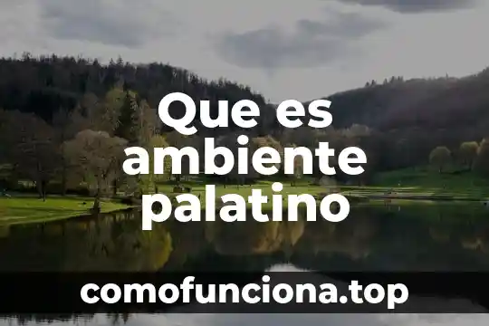 Que es un ambiente geologico 5 Que es ambiente palatino