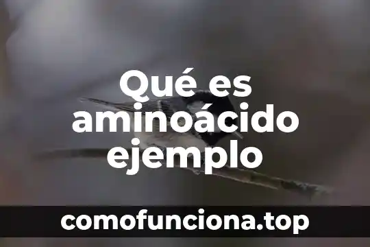 Que es el control biologico ejemplo nombres 7 Qué es aminoácido ejemplo