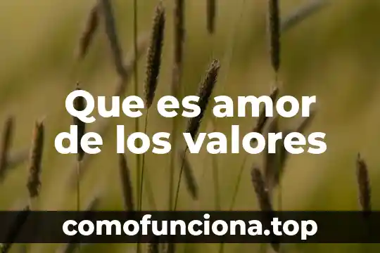 Qué es un tubular de valores en geometría 8 Que es amor de los valores