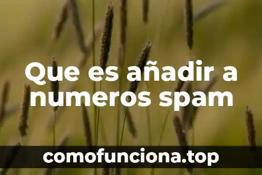 Que es divicion de numeros enteros con signo 6 Que es añadir a numeros spam