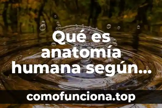 Que es movimiento anatomia 8 Qué es anatomía humana según quiroz