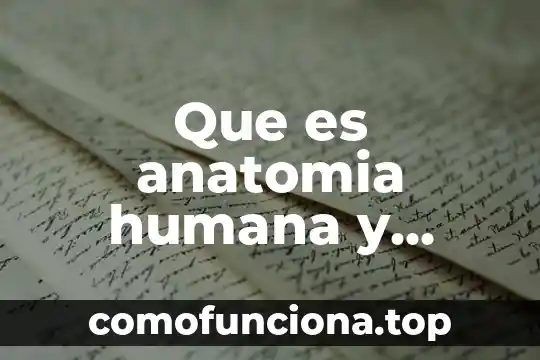Que es movimiento anatomia 6 Que es anatomia humana y como se divide
