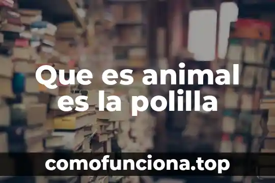 Que es huesped en animal 4 Que es animal es la polilla