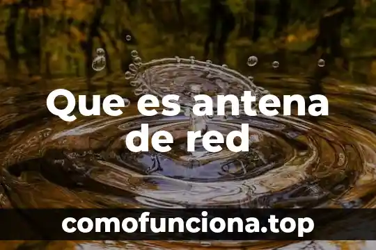 Tarjeta interfaz de red que es 3 Que es antena de red