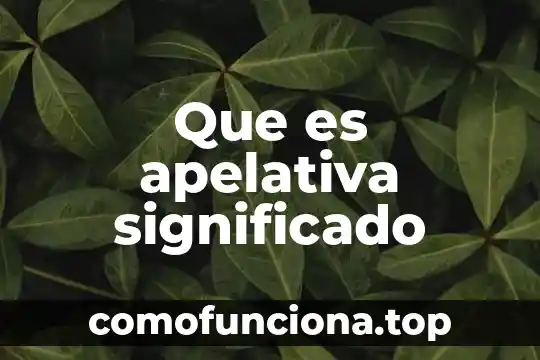Qué es apresto significado 7 Que es apelativa significado
