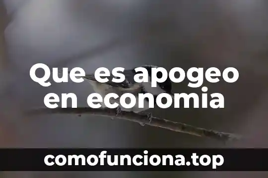 Qué es repuderación en economía 8 Que es apogeo en economia