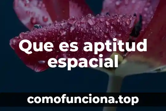 Qué es la aptitud física concepto 6 Que es aptitud espacial