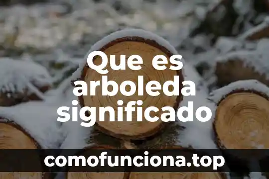 Que es significado implicito 4 Que es arboleda significado