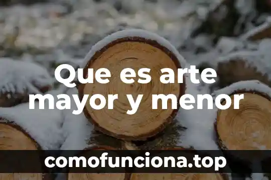 Qué es el arte cinético venezolano 6 Que es arte mayor y menor