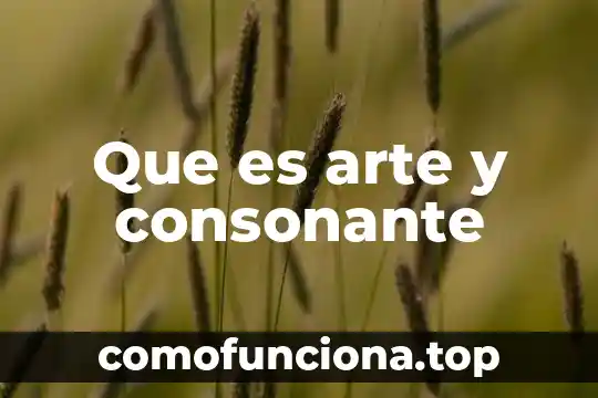 Que es una fiducia publica 5 Que es arte y consonante