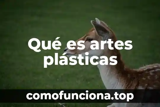 Que es artes plasticas arquitectura 8 Qué es artes plásticas