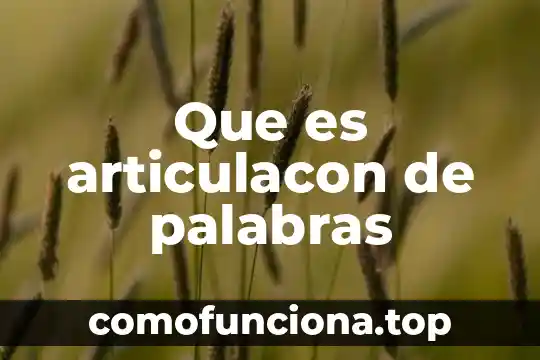 Que es una nube de palabras 3 Que es articulacon de palabras