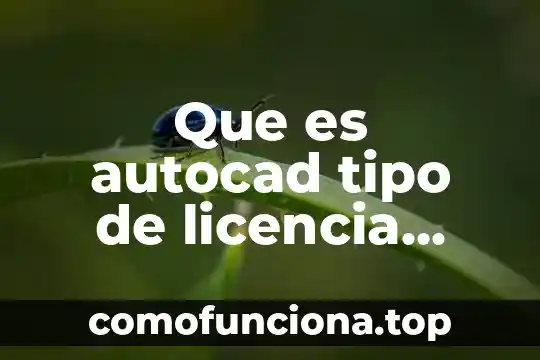 Que es tiempo libre en la sociedad 8 Que es autocad tipo de licencia libre o propietario