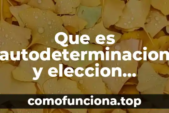 Servicio profesional de carrera que es 3 Que es autodeterminacion y eleccion personal academica y profesional