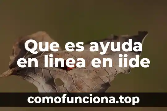 Que es un texto de contraste ejemplo 4 Que es ayuda en linea en iide