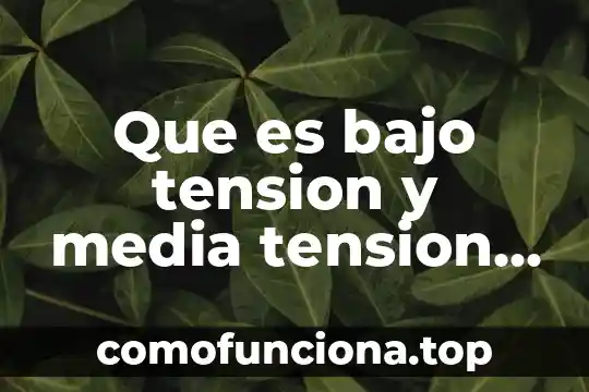 Que es un texto de contraste ejemplo 6 Que es bajo tension y media tension en la cfe