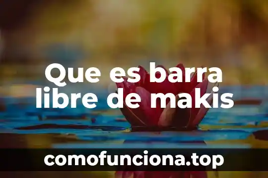Que es un estado libre 3 Que es barra libre de makis