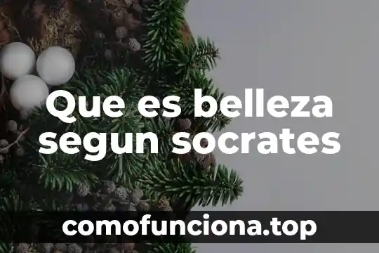 Qué es la filosofía según Sócrates 3 Que es belleza segun socrates