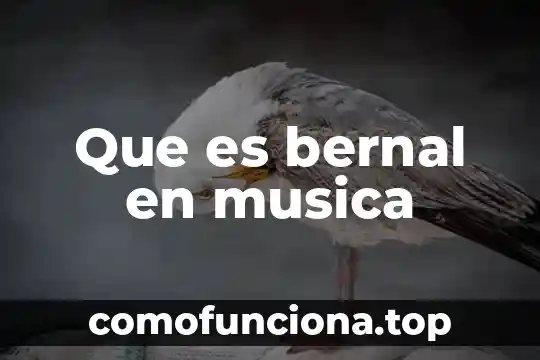 Que es la logica deóntica 7 Que es bernal en musica