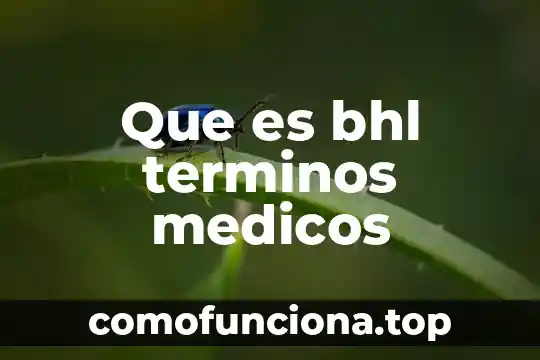Que es el dolor de estomago en terminos populares 7 Que es bhl terminos medicos